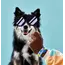 Lego LEGO DOTS My Pets Bracelet, 5 image