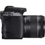 ციფრული ფოტოაპარატი Canon 3454C007AA EOS 250D BK 18-55 S CP, Camera Body, Black , 3 image - Primestore.ge