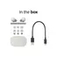 ყურსასმენი Sony WF1000XM5 Wireless Noise Cancelling In-Ear Silver (WF1000XM5S.E) - Primestore.ge