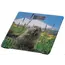 სასწორი Ardesto Scales for floor MARMOT, 150кг, 2хААА included,glass, multi-colored , 2 image - Primestore.ge