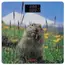 სასწორი Ardesto Scales for floor MARMOT, 150кг, 2хААА included,glass, multi-colored  - Primestore.ge
