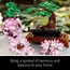 ლეგო LEGO Creator Expert Bonsai Tree , 4 image - Primestore.ge
