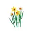 ლეგო LEGO Constructor ICO DAFFODILS , 3 image - Primestore.ge