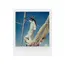 ფოტოფირი POLAROID COLOR FILM FOR I-TYPE FILM 40 PACK , 4 image - Primestore.ge