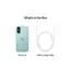 მობილური ტელეფონი Apple iPhone 16 128GB Teal , 10 image - Primestore.ge