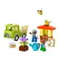 ლეგო Constructor LEGO DUPLO Town Caring for bees and hives , 3 image - Primestore.ge