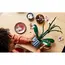 ლეგო LEGO Icons Orchid , 3 image - Primestore.ge