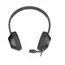 ყურსასმენი A4tech Fstyler FH150U Conference USB Headset Black - Primestore.ge