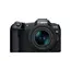 ციფრული ფოტოაპარატი Canon EOS R8 RF 24-50mm F4.5-6.3 IS STM , 5 image - Primestore.ge