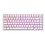 კლავიატურა Dark Project ALU Terra Nostra White - Wired Gaming Keyboard (ANSI)  - Primestore.ge