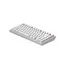 კლავიატურა Dark Project ALU Terra Nostra White - Wired Gaming Keyboard (ANSI) , 2 image - Primestore.ge