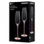 ჭიქების ნაკრები Ardesto AR2621G Black Mars Amber, 210ml, 2pcs, Champagne Glasses Set, Transparent/Golden , 3 image - Primestore.ge