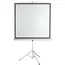 პროექტორის ეკრანი SBOX PSMT-96-2 Projector Screen (172x172cm) - Tripod - Primestore.ge