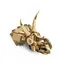 ლეგო LEGO Constructor Jurassic World Dinosaur Fossils: Triceratops Skull , 4 image - Primestore.ge