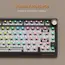 კლავიატურა Royal Kludge RK R75 RGB Mechanical Keyboard, Brown switch, Hot Swappable, Type-C wired, Phantom , 4 image - Primestore.ge