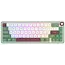 კლავიატურა Royal Kludge RK R65 RGB Mechanical Keyboard, Brown switch, Hot Swappable, Type-C wired, Green sand  - Primestore.ge