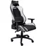 სათამაშო სავარძელი Trust GXT714W Ruya, Gaming Chair, Black/White , 3 image - Primestore.ge