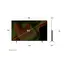 ტელევიზორი LG OLED65B5RLA.AMCN , 7 image - Primestore.ge