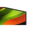 ტელევიზორი LG OLED55B5RLA.AMCN , 6 image - Primestore.ge