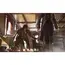 ვიდეო თამაში Assassins Creed Syndicate Game for Sony PS4 , 10 image - Primestore.ge