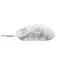 მაუსი Havit Wireless Mouse HV-MS970WB Pro Transparent White , 3 image - Primestore.ge