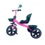 სამთვალა ველოსიპედი 209VPINK  - Primestore.ge