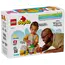 ლეგო LEGO Constructor DUPLO Disney Winnie the Pooh's Birthday Party  - Primestore.ge