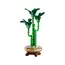 ლეგო LEGO Constructor Botanicals Lucky Bamboo , 2 image - Primestore.ge