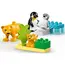 ლეგო LEGO Constructor Wild Animal Families: Penguins & Lions , 2 image - Primestore.ge