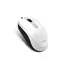 მაუსი Genius DX-120 USB WHITE  G5 , 2 image - Primestore.ge