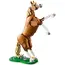 ლეგო LEGO Constructor Creator Beautiful Horse , 2 image - Primestore.ge