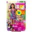ბარბის თოჯინა MATTEL Barbie Adopt-a-Pup Playset - Latina - Primestore.ge