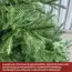 Christmas tree Madrid 180 cm (LS-180), 3 image