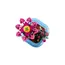 ლეგო LEGO Constructor Botanicals Flowering Cactus - Primestore.ge