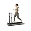 სარბენი ბილიკი Xiaomi KingSmith Z3 Hybrid Foldable Treadmill - Primestore.ge