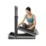 სარბენი ბილიკი Xiaomi KingSmith Z3 Hybrid Foldable Treadmill - Primestore.ge