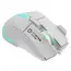 მაუსი CANYON mouse Fortnax GM-636 RGB 9buttons Wired White - Primestore.ge