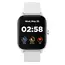 სმარტ საათი CANYON Wildberry SW-74, Smart watch, 1.3inches TFT full touch screen, Zinic+plastic body, IP67 waterproof, multi-sport mode - Primestore.ge