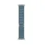 სმარტ საათი Apple Watch Ultra 3 49mm Natural Titanium Case With Light Blue Alpine Loop MEWP4 L - Primestore.ge