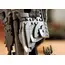 ლეგო LEGO Constructor Icons The Lord of the Rings: Sauron's Helmet - Primestore.ge