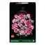 ლეგო LEGO Constructor Botanicals Bouquet of Pink Roses - Primestore.ge
