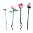 ლეგო LEGO Constructor Botanicals Bouquet of Pink Roses - Primestore.ge
