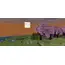 თამაში Sony PS5 Game Minecraft - Primestore.ge