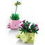 ლეგო LEGO Constructor Rocking Plants - Primestore.ge