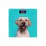 იატაკის სასწორი Ardesto SCB-965DOG  - Primestore.ge