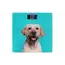 სასწორი Body Scales Ardesto SCB-965DOG  - Primestore.ge
