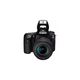 ციფრული კამერა Canon EOS 90D Black + Lens EF-S 18-135 IS USM , 2 image - Primestore.ge