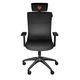 Gaming chair Genesis Gaming Chair Ergonomic Astat 200 Black