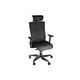 სათამაშო სავარძელი Genesis Gaming Chair Ergonomic Astat 700 Black , 2 image - Primestore.ge
