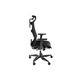 სათამაშო სავარძელი Genesis Gaming Chair Ergonomic Astat 700 Black , 3 image - Primestore.ge